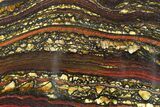 Polished Tiger Iron Stromatolite Slab - Billion Years #351886-1